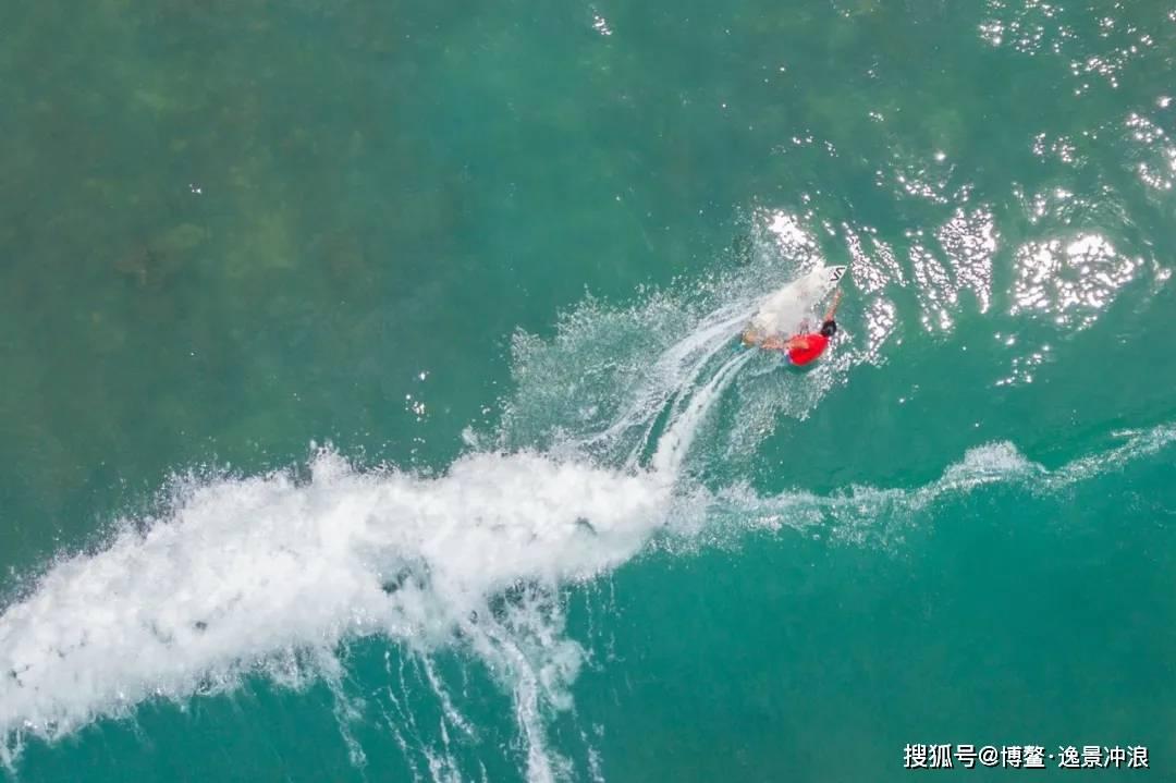 御龙在天