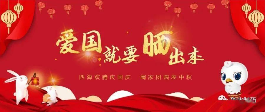 滚动的奶酪选关版
