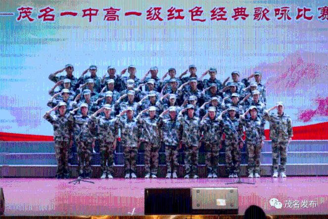 小狗救援行动选关版