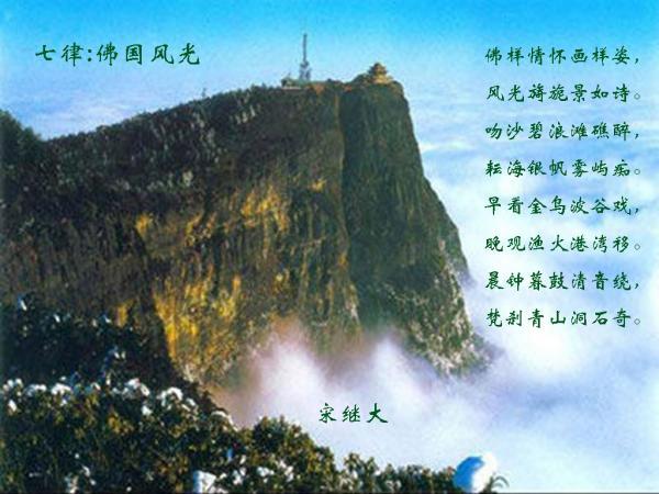 君子兰烂根处理重新栽种后叶子有点下垂-红迪网|分享精彩时刻