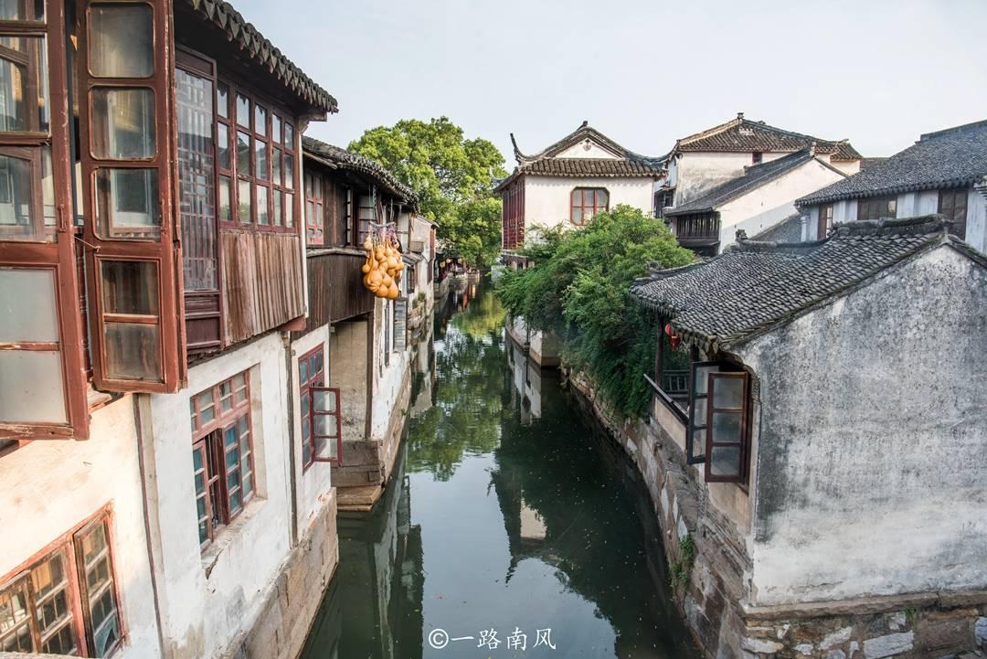 独眼萌怪吃金币