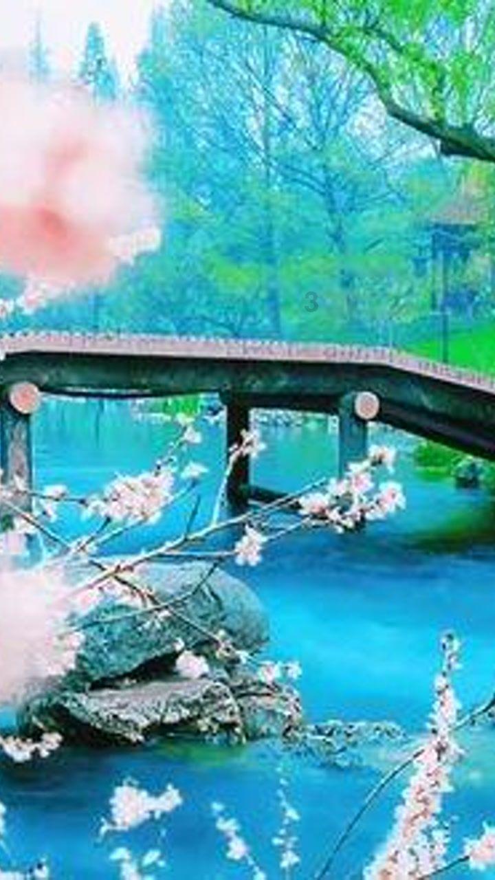 第一次圣诞节送女朋友什么好