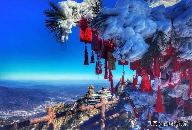 全民剧本大师内置菜单